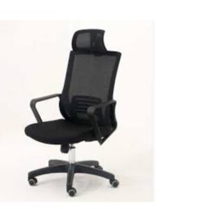 lumbar support mesh executive chair model EC-802 showing rear frame