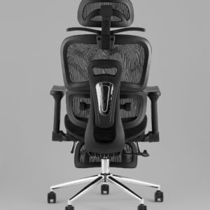 high back mesh ergonomic chair showing dual lumbar support and rear spine frame